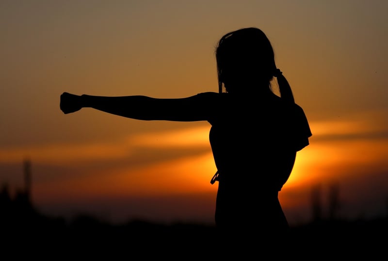 Traditional Martial Arts